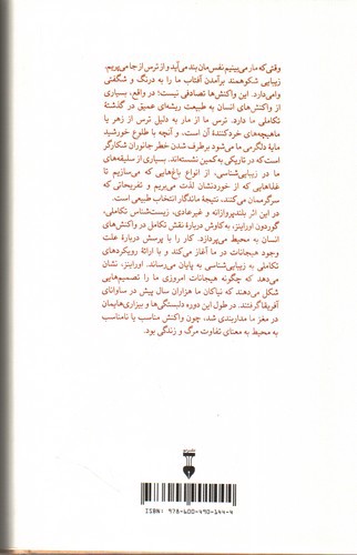 یاد جنگل دور