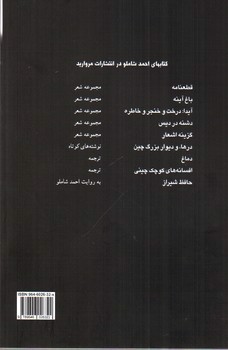 باغ آینه