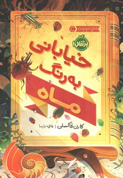 خیابانی به رنگ ماه