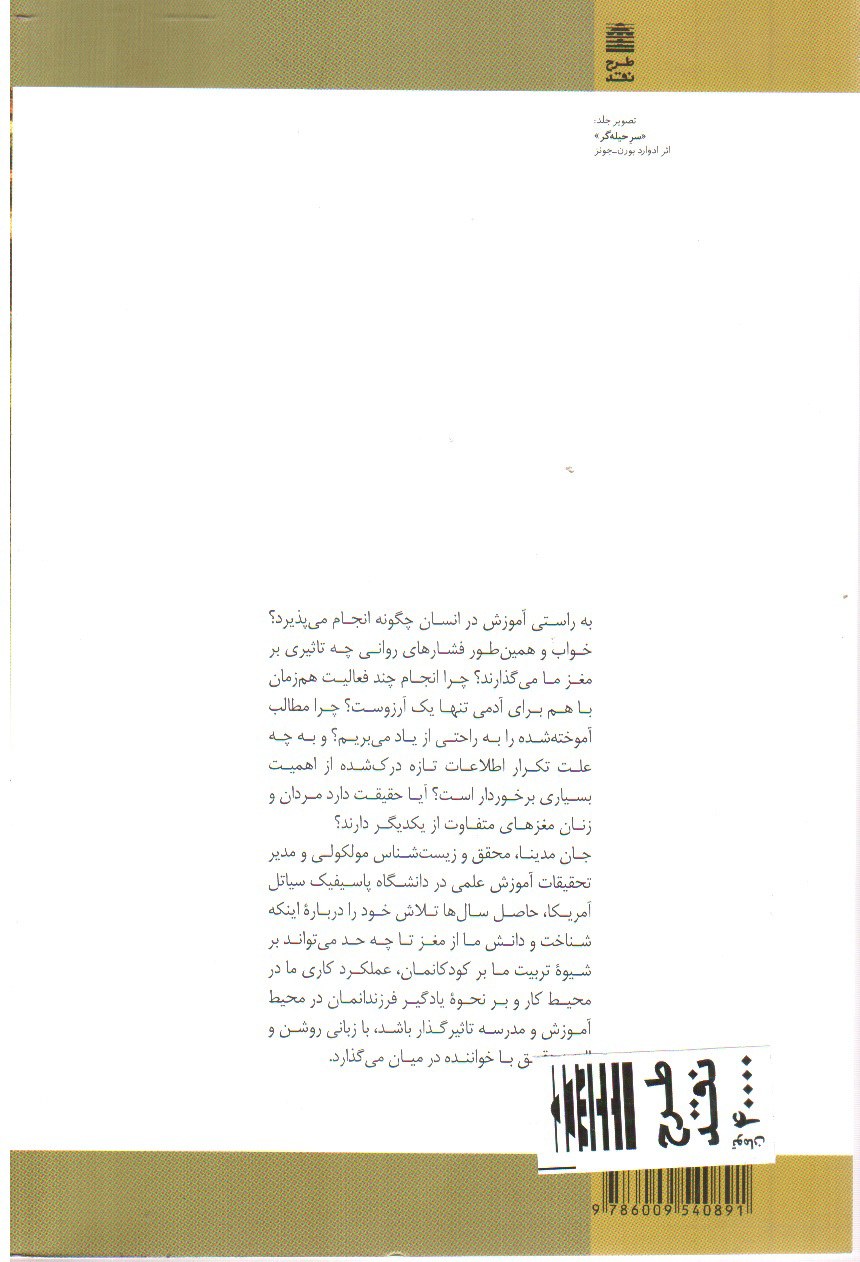 قوانین مغز